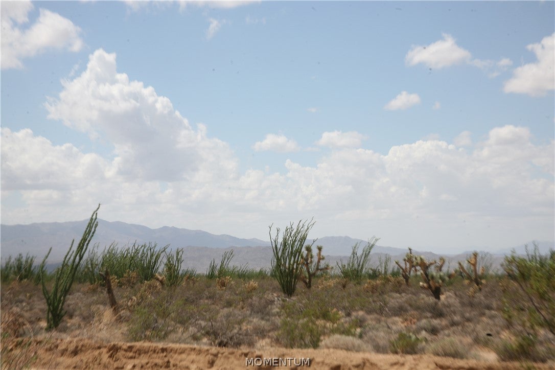 016 South Gene Autry Road Yucca, AZ 86438 - Photo 12 of 38 Gallery Image 12