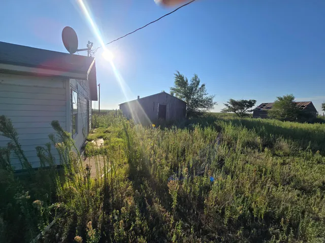 a view of a back yard of the house