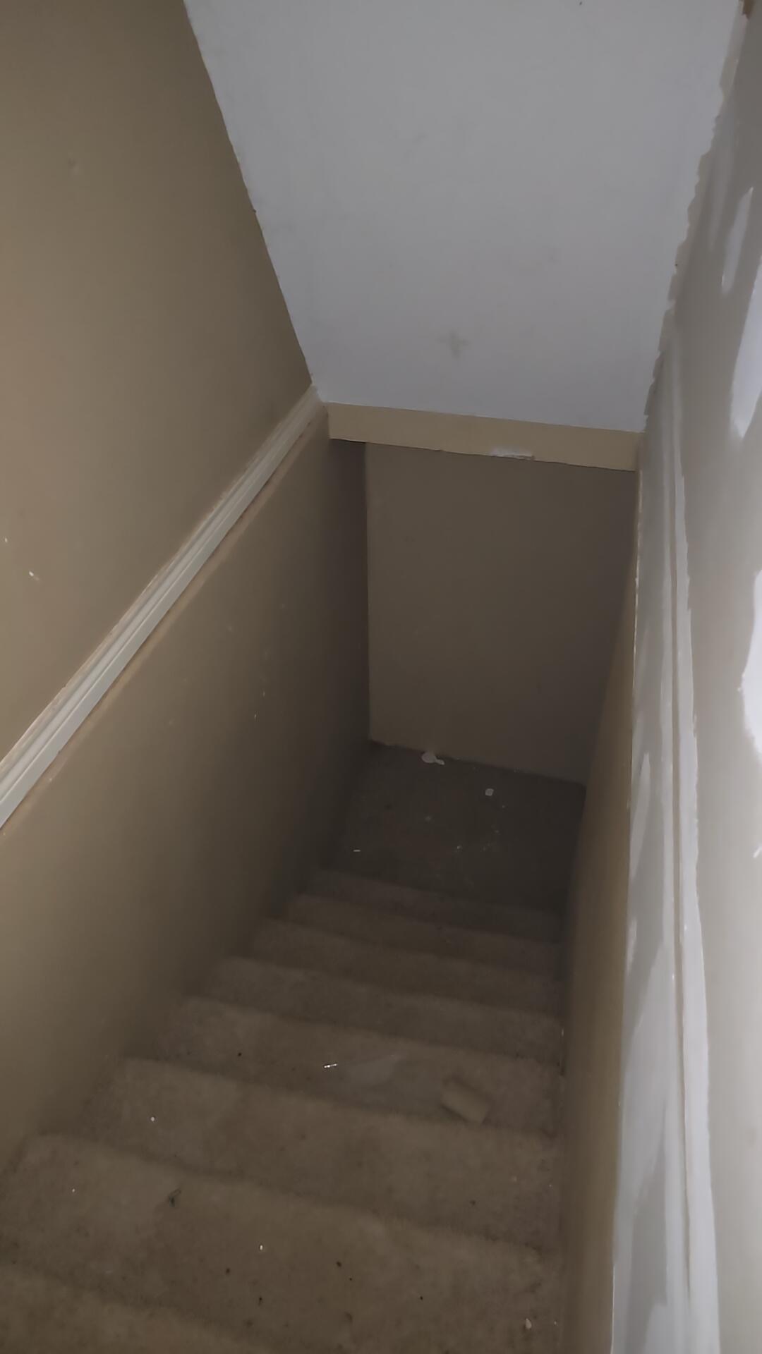 1611 County Road 50 Plainview, TX 79072 - Photo 9 of 11 a view of small space