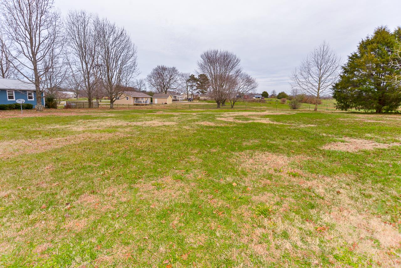 3018 Bobo Section Road Hazel Green, AL 35750 - Photo 22 of 30 Huge backyard!