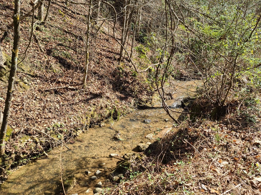 3002 Laurel Lick Road Sevierville, TN 37862 - Photo 8 of 36