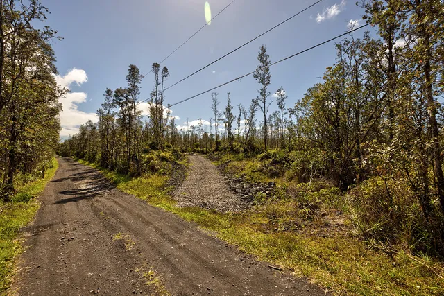a view of a field with an ocean