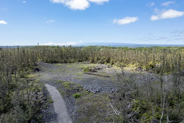 a view of a lake with a mountain
