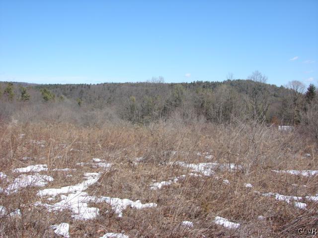 Borger Road Kunkletown, PA 18058 - Photo 1 of 7 Borger Road 13.4 acre lot with view
