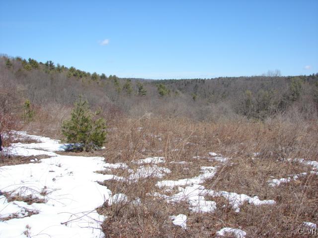 Borger Road Kunkletown, PA 18058 - Photo 2 of 7 Cleared area of 13.4 acre lot in Kunkletown, PA