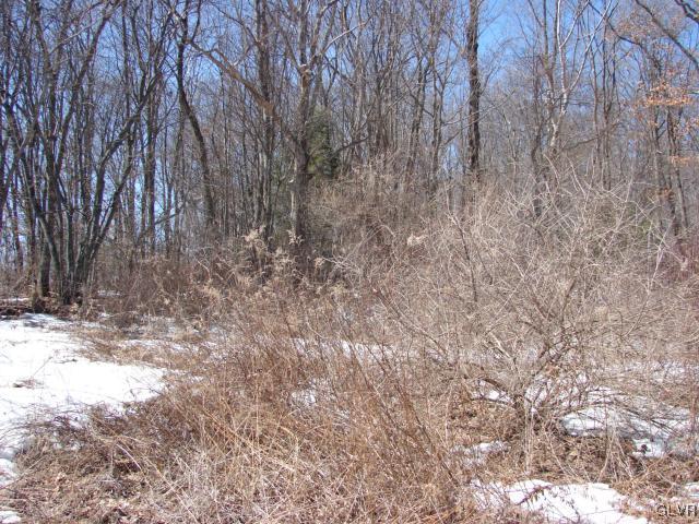 Borger Road Kunkletown, PA 18058 - Photo 3 of 7 Wooded area on property