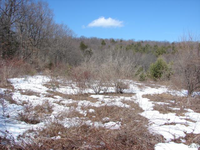 Borger Road Kunkletown, PA 18058 - Photo 4 of 7 Open area next to woods.