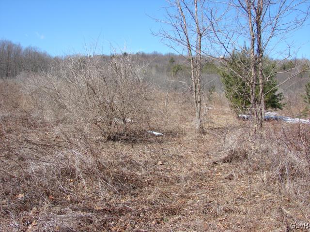 Borger Road Kunkletown, PA 18058 - Photo 5 of 7 Gallery Image 5