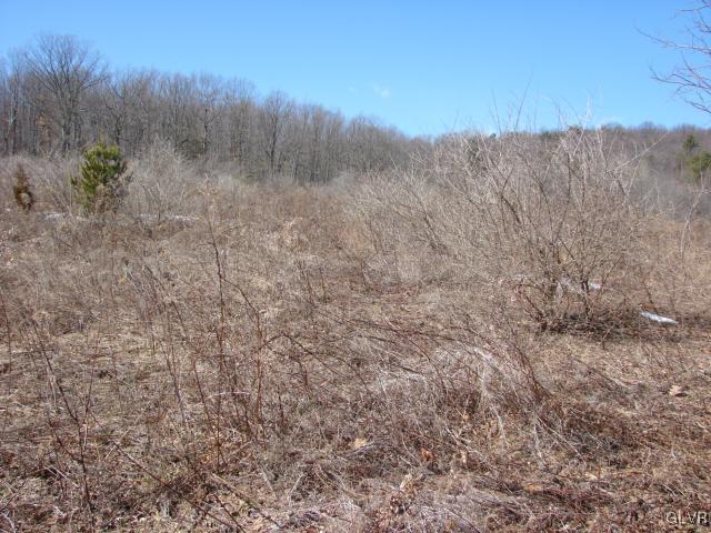 Borger Road Kunkletown, PA 18058 - Photo 6 of 7 Gallery Image 6