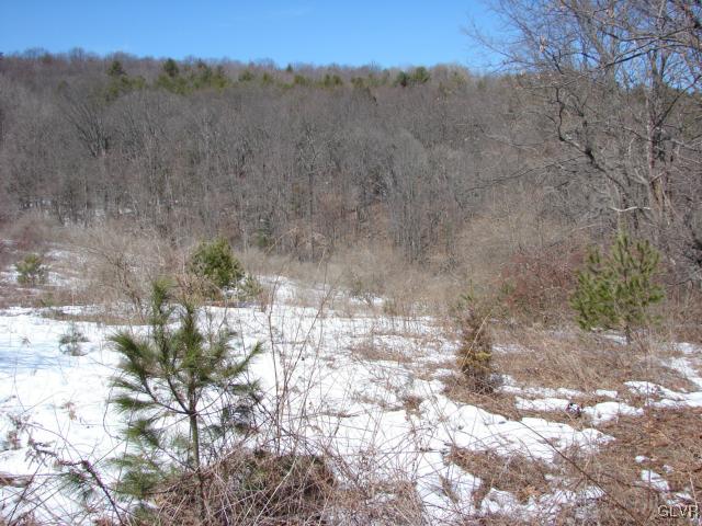 Borger Road Kunkletown, PA 18058 - Photo 7 of 7 Gallery Image 7