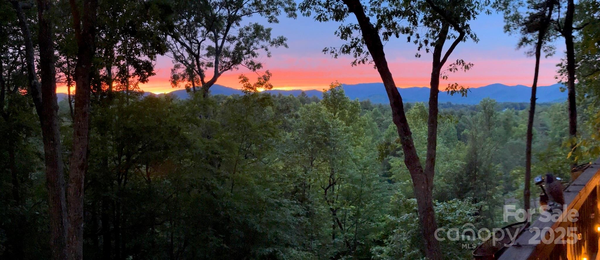 5 Saddle Ridge Fletcher, NC 28732 - Photo 3 of 46