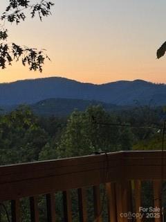 5 Saddle Ridge Fletcher, NC 28732 - Photo 44 of 46