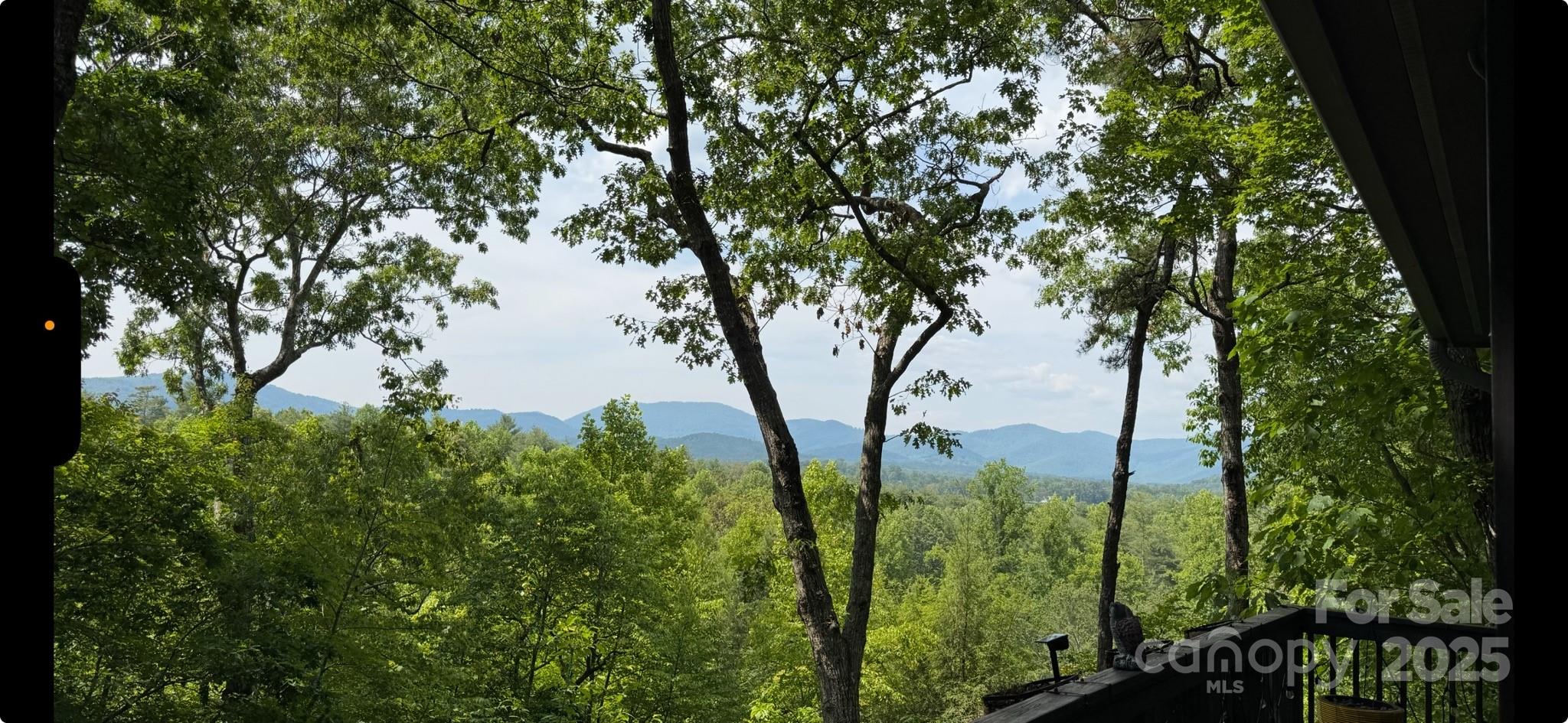 5 Saddle Ridge Fletcher, NC 28732 - Photo 45 of 46