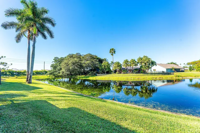 a view of a swimming pool with a yard and palm trees