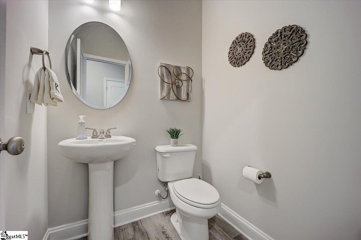 617 River Trce Loop Simpsonville, SC 29680 - Photo 19 of 37