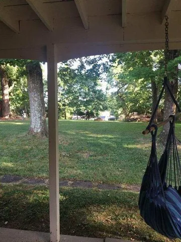 a view of a trees in a yard