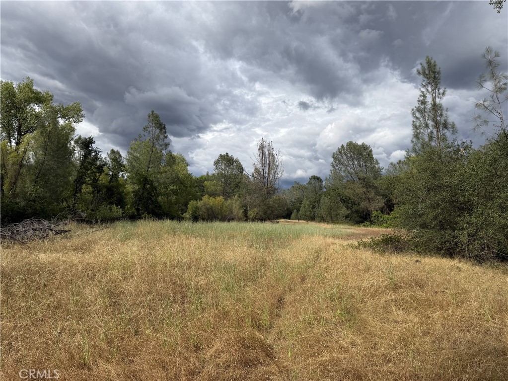 0 Ophir Road Oroville, CA 95966 - Photo 16 of 29 a view of outdoor space with mountain view