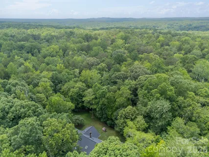 a view of a lush green forest with lots of trees