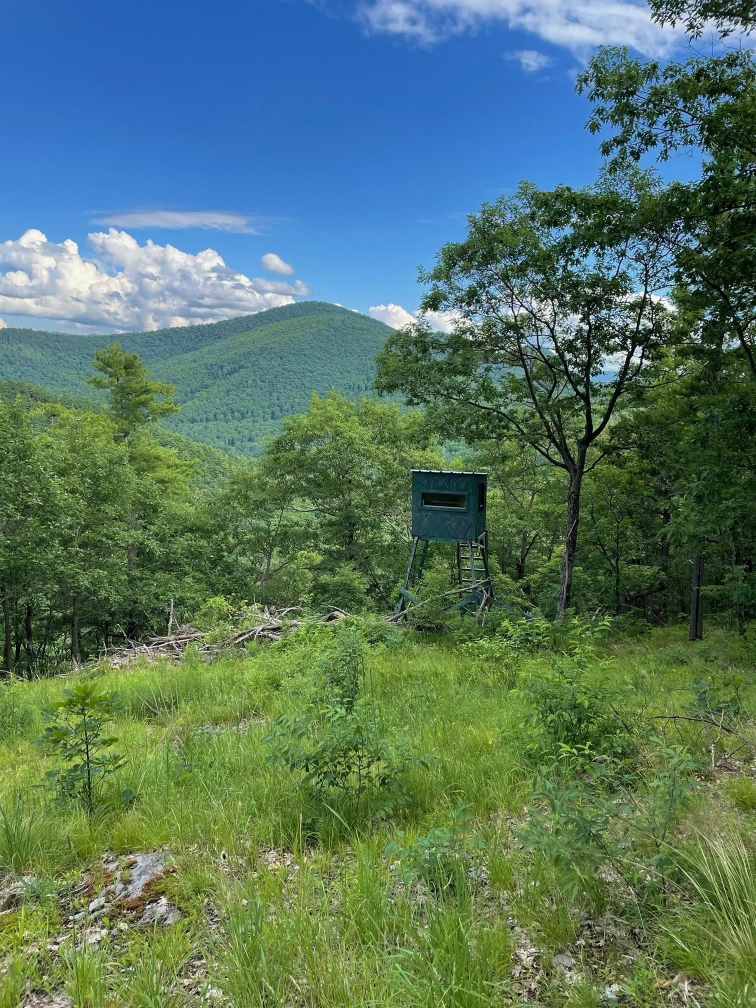 653 Saw Mill Hill Road Wells, VT 05774 - Photo 43 of 43