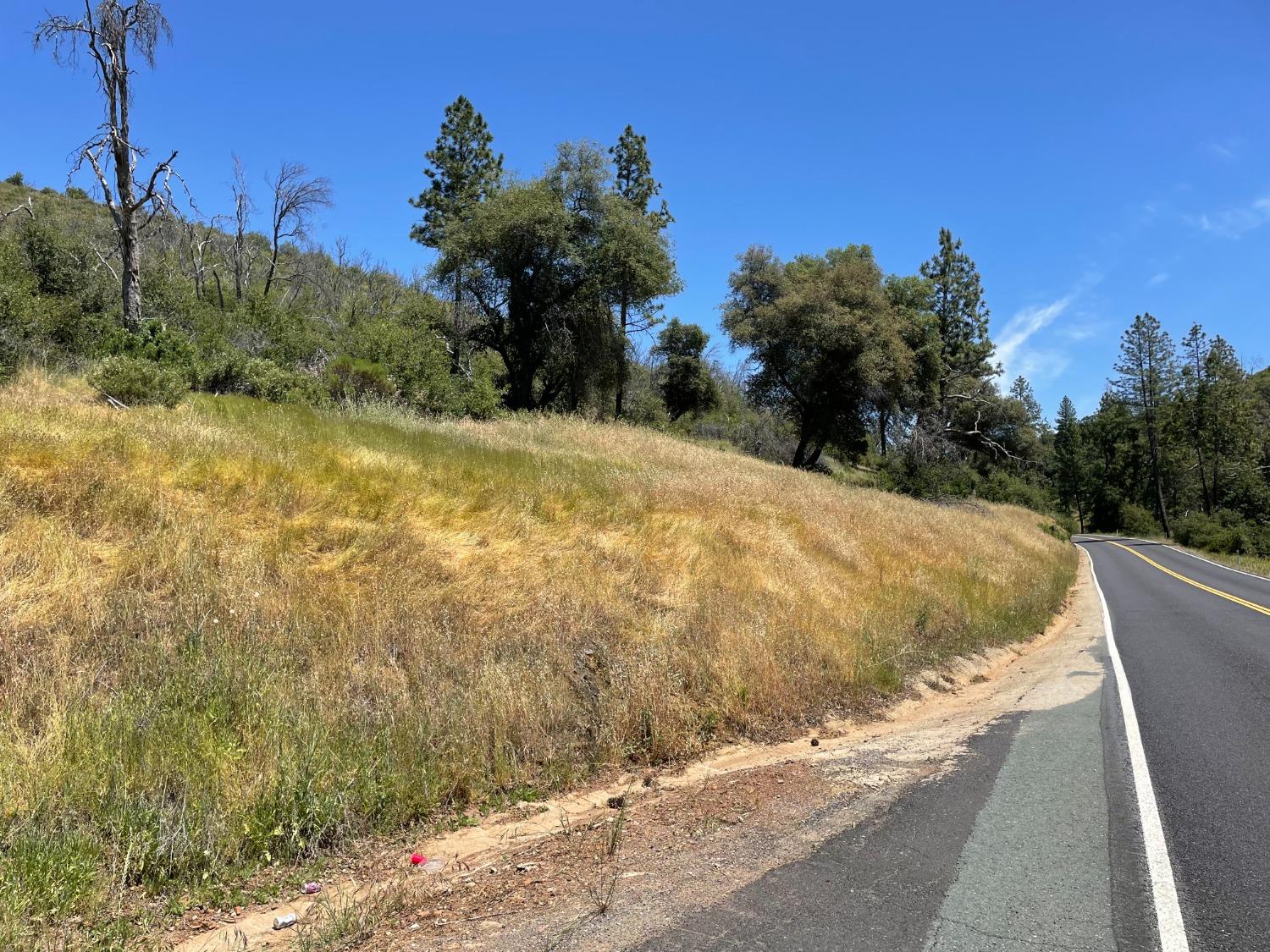 Looking up Mountain Ranch Road