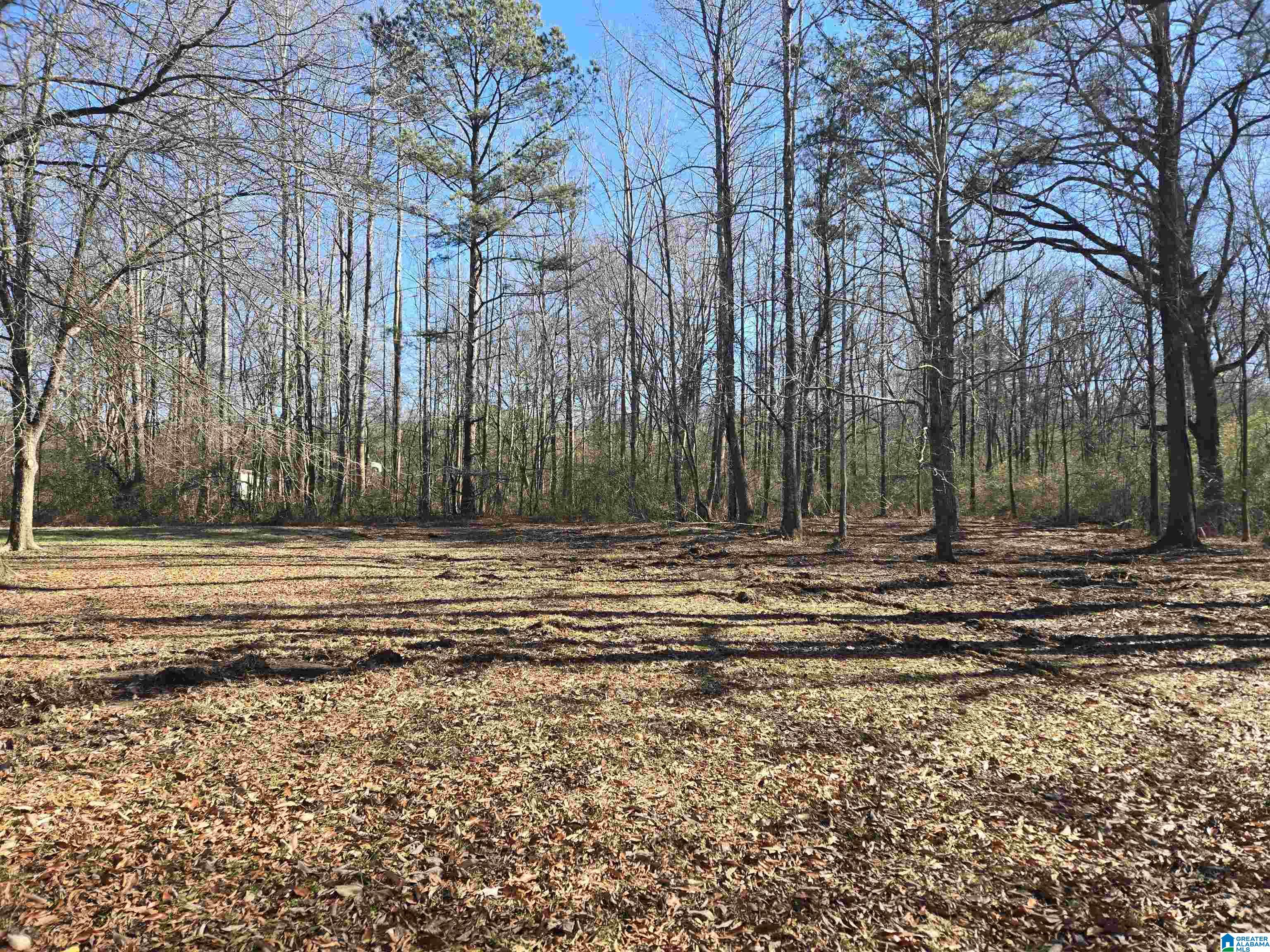 630 Rockledge Road Attalla, AL 35954 - Photo 29 of 37