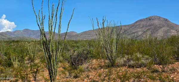 $36,000 | Tbd East Beech Craft Boulevard, Bisbee, AZ 85603