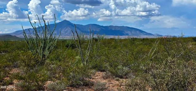 $36,000 | Tbd East Beech Craft Boulevard, Bisbee, AZ 85603