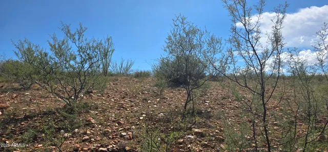 $36,000 | Tbd East Beech Craft Boulevard, Bisbee, AZ 85603