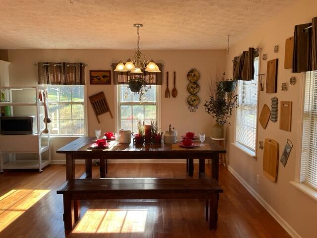 195 Terri Draper Road Frenchburg, KY 40322 - Photo 8 of 48 IMG_8068