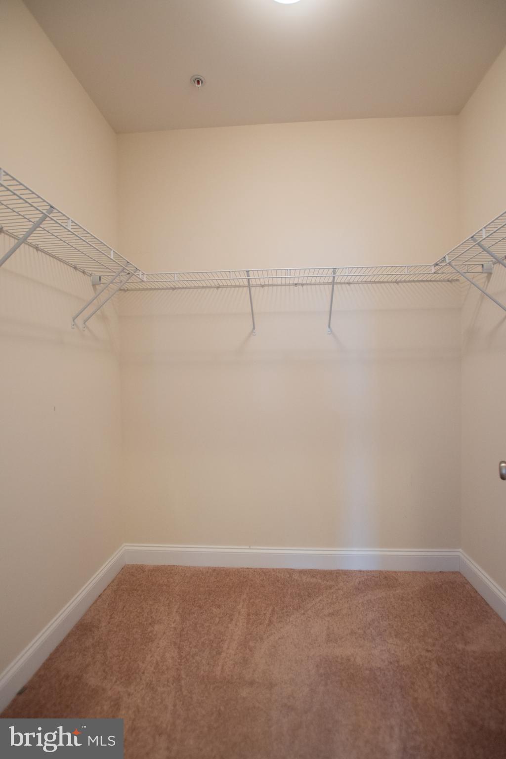 44 Steeplechase Drive La Plata, MD 20646 - Photo 8 of 47 Master walk in closet