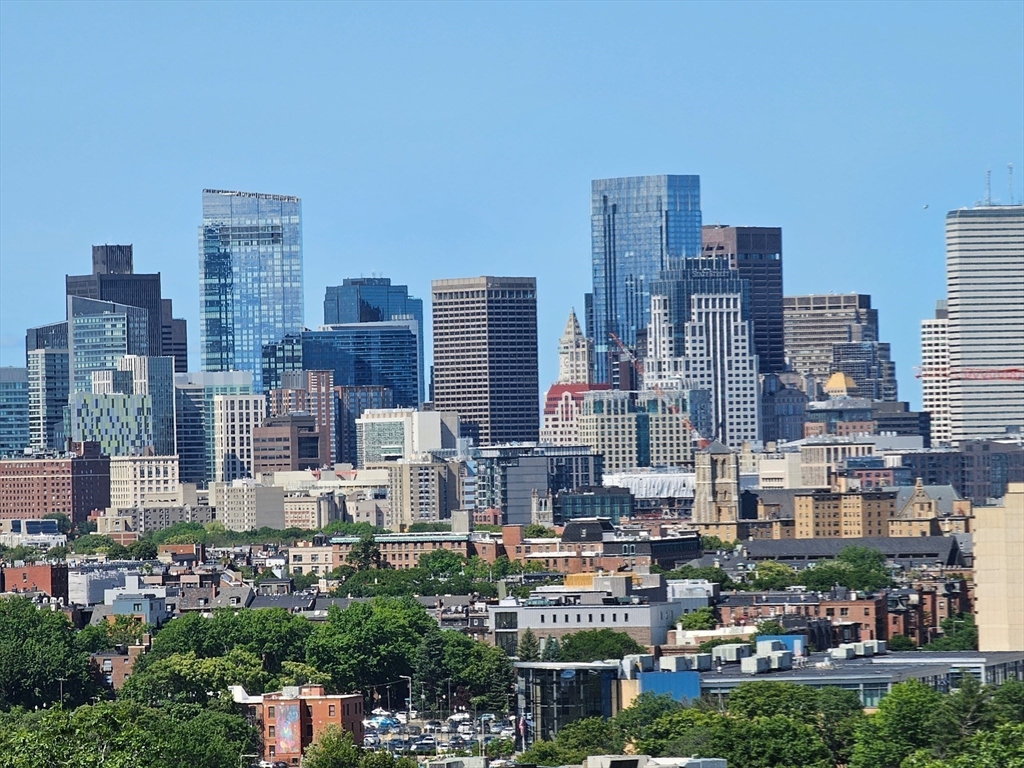 64 Alpine Street, Unit 304 Boston, MA 02119 - Photo 22 of 23 a city view with tall buildings