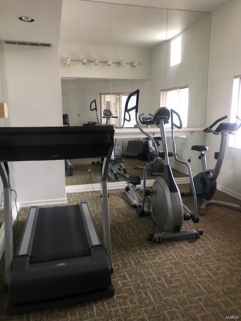 1828 Ridgeview Cir Drive Ballwin, MO 63021 - Photo 45 of 45