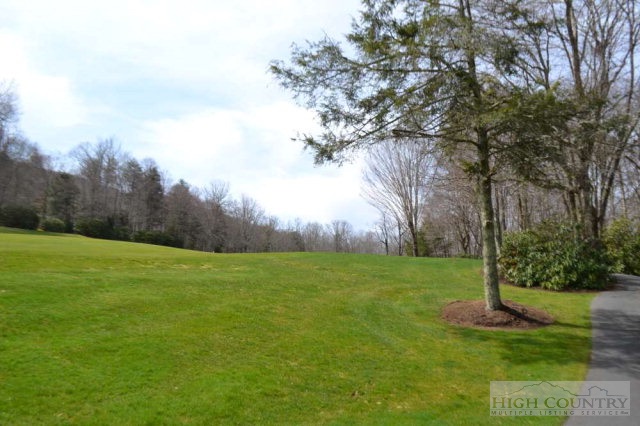 404 Chester Br Road Linville, NC 28646 - Photo 7 of 22 Gallery Image 7