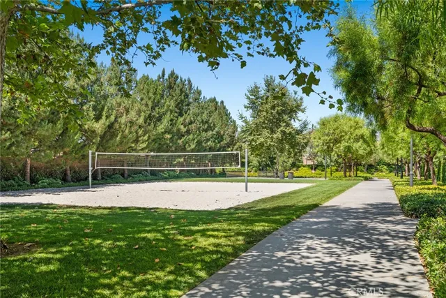 a view of a park with large trees