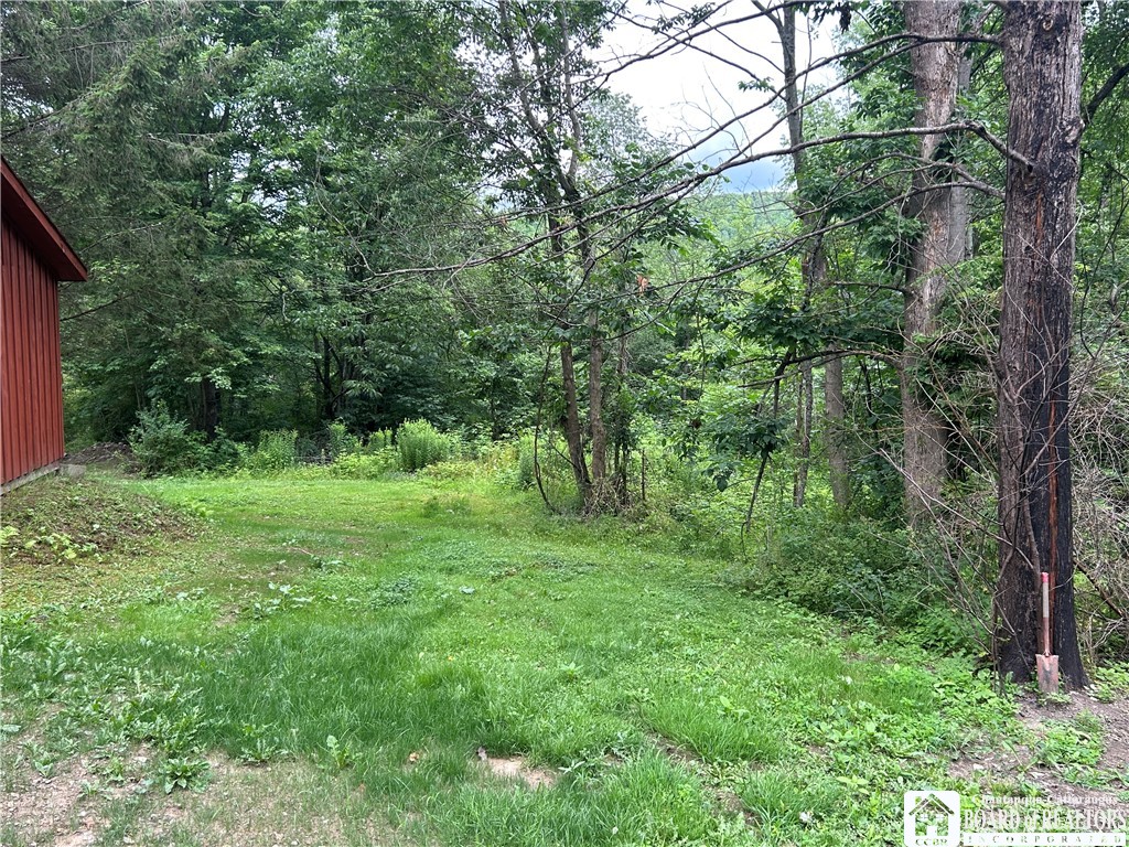 229 Mud Creek Road Kennedy, NY 14747 - Photo 9 of 25