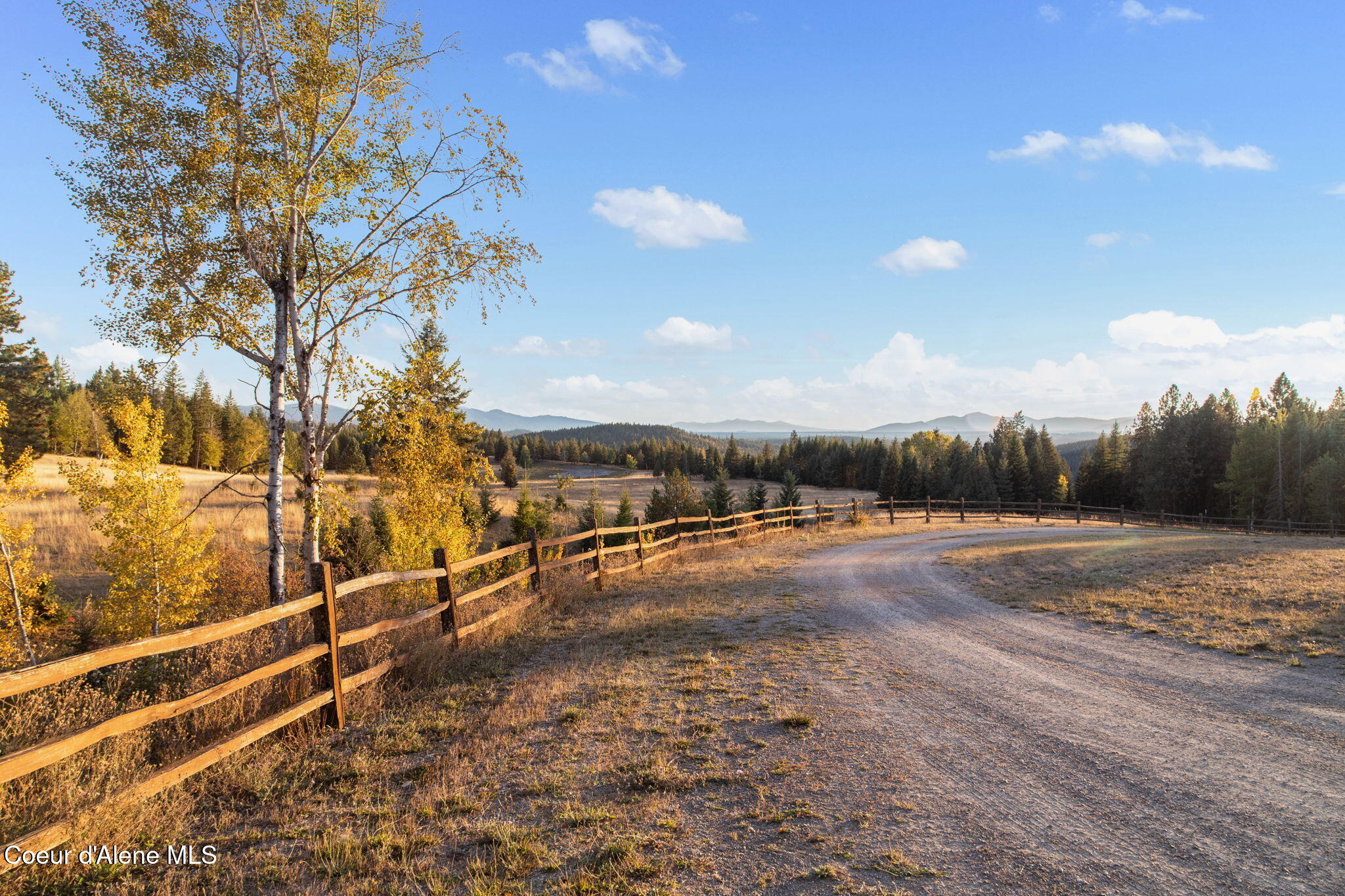 4575 Blacktail Road Careywood, ID 83809 - Photo 48 of 69 59