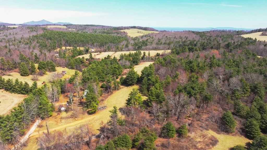 2 Graysville Road, Unit TRACT 2 Copper Hill, VA 24079 - Photo 10 of 18 Gallery Image 10