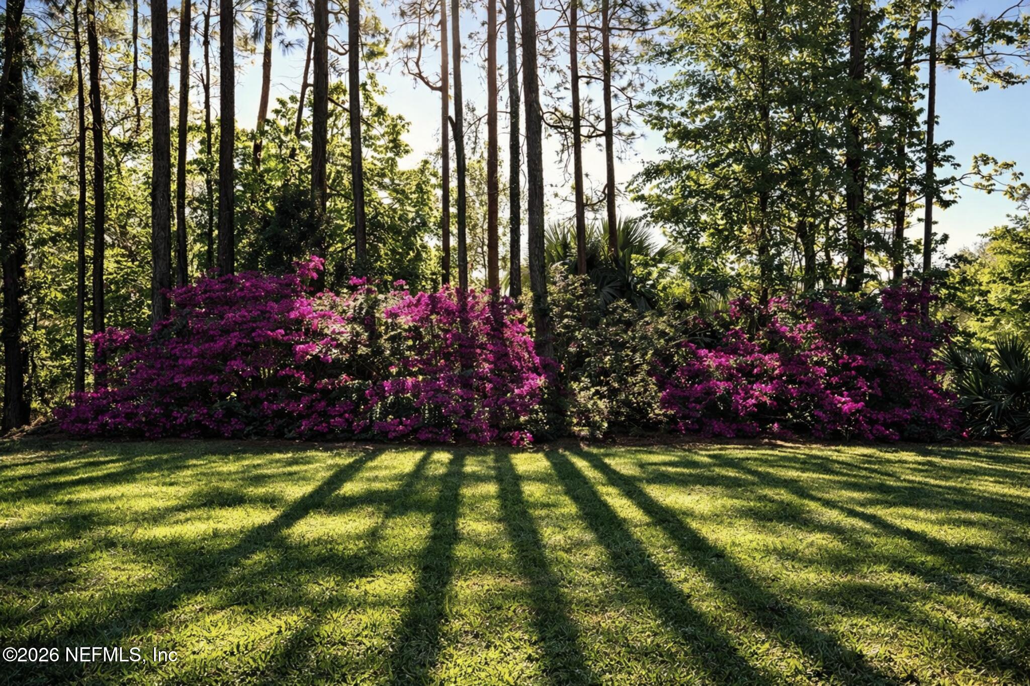 394 Cassandra Lane St. Augustine, FL 32086 - Photo 43 of 43 Back Yard with the Azaleas