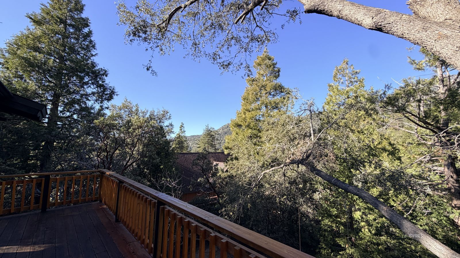 53390 Circle View Drive Idyllwild, CA 92549 - Photo 4 of 22 a view of balcony and yard
