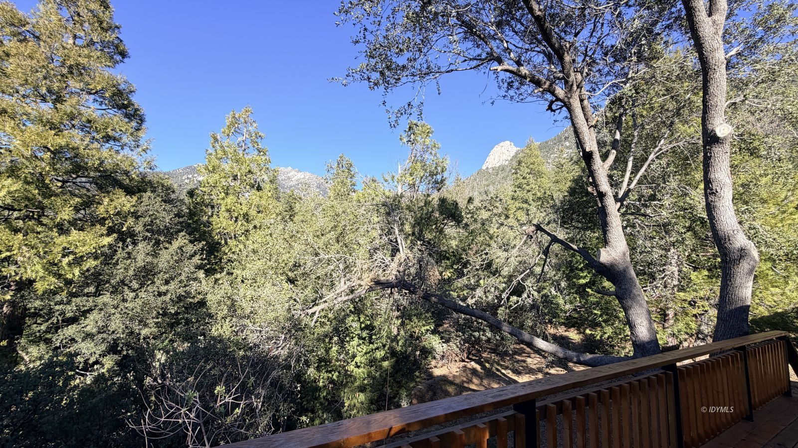 53390 Circle View Drive Idyllwild, CA 92549 - Photo 6 of 22 a view of a trees from a balcony