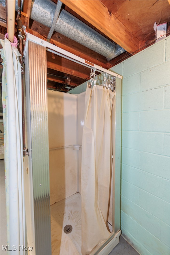 14430 Drake Road Strongsville, OH 44136 - Photo 29 of 37 shower stall in basement