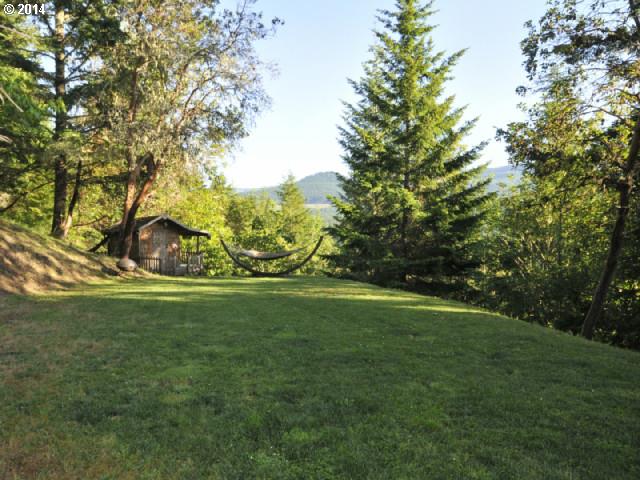 38215 Harolds Road Dexter, OR 97431 - Photo 12 of 16 a view of yard with outdoor space