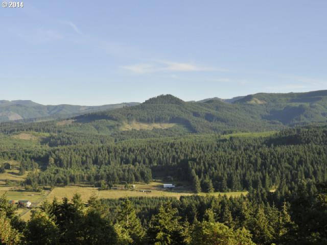 38215 Harolds Road Dexter, OR 97431 - Photo 15 of 16 a view of a town with mountains in the background