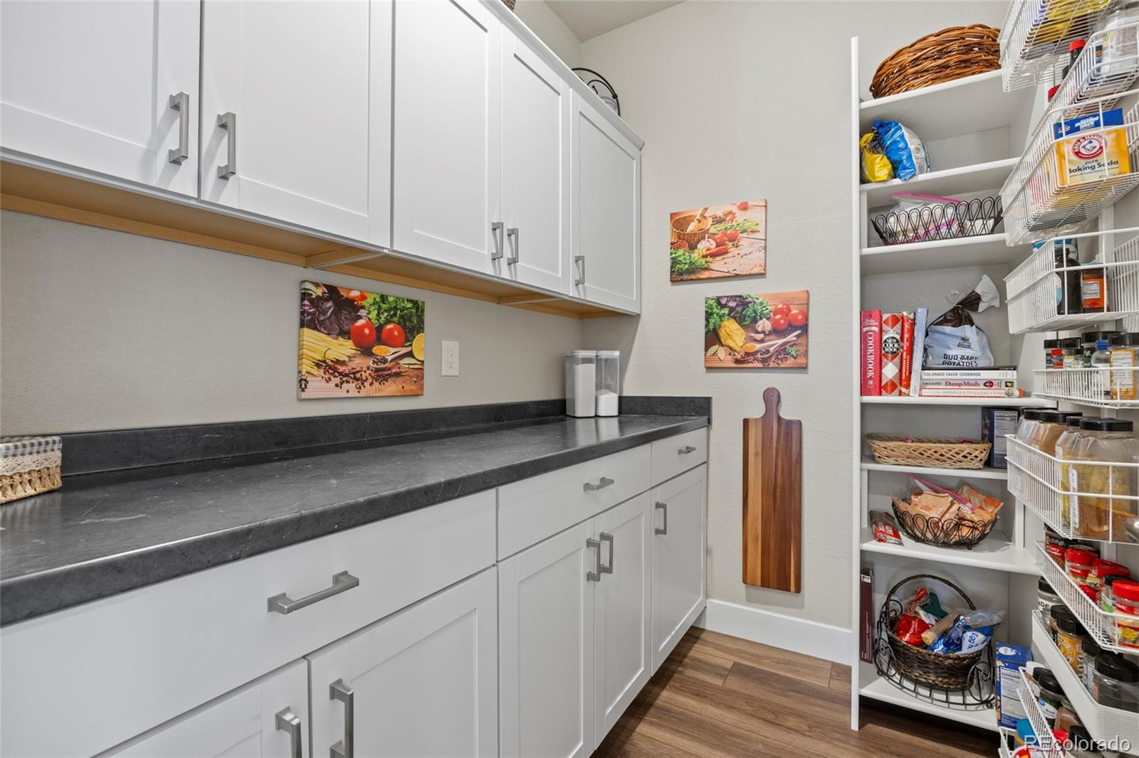 164 Rockingham Circle Castle Pines, CO 80108 - Photo 21 of 43 a room with storage and utility