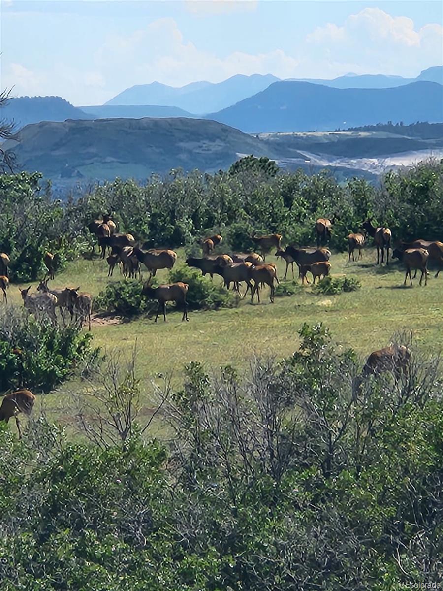 164 Rockingham Circle Castle Pines, CO 80108 - Photo 34 of 43 a view of outdoor space and mountain view
