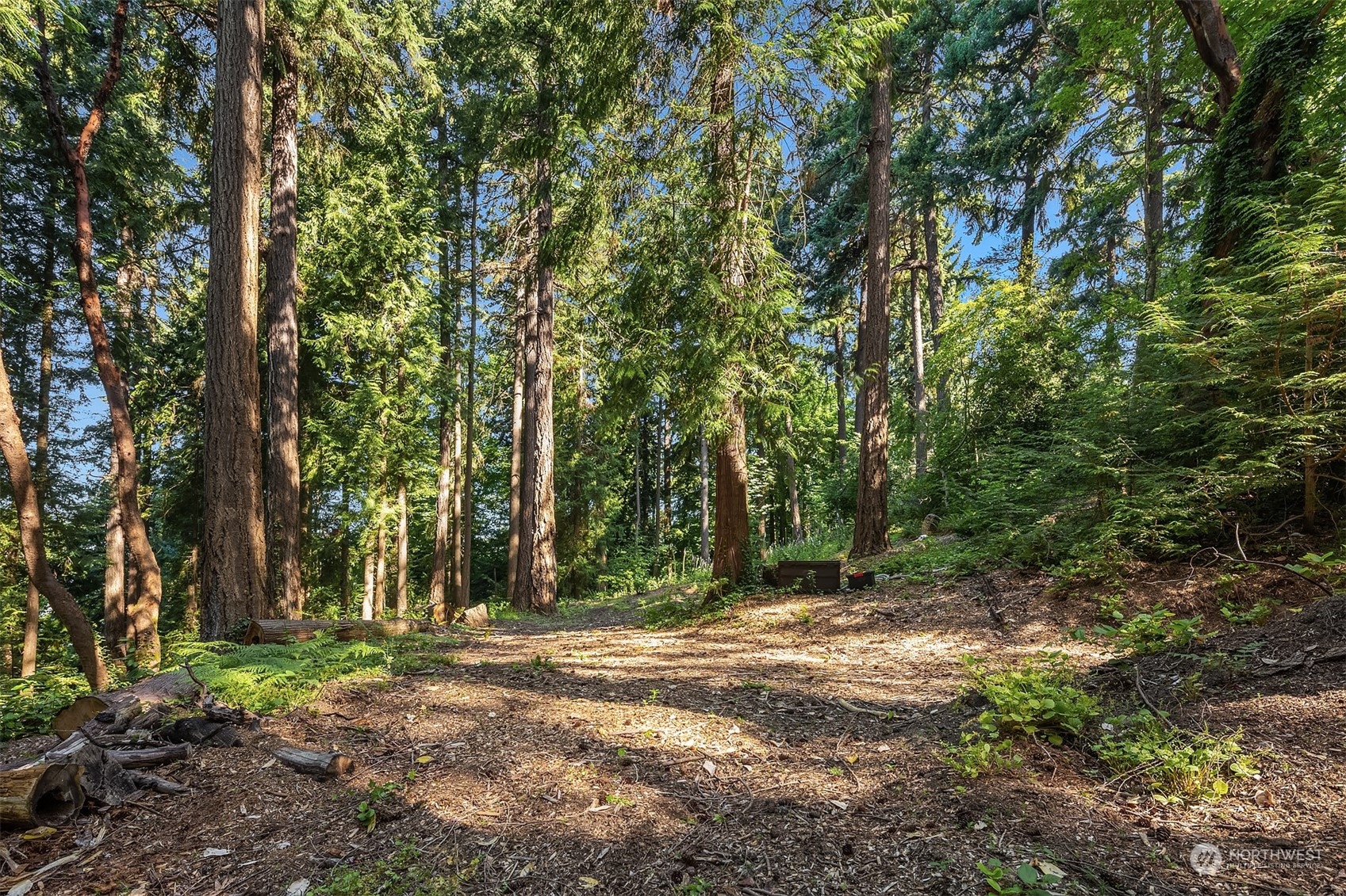 62 Madrona Lane Shoreline, WA 98177 - Photo 12 of 22 a view of outdoor space with trees