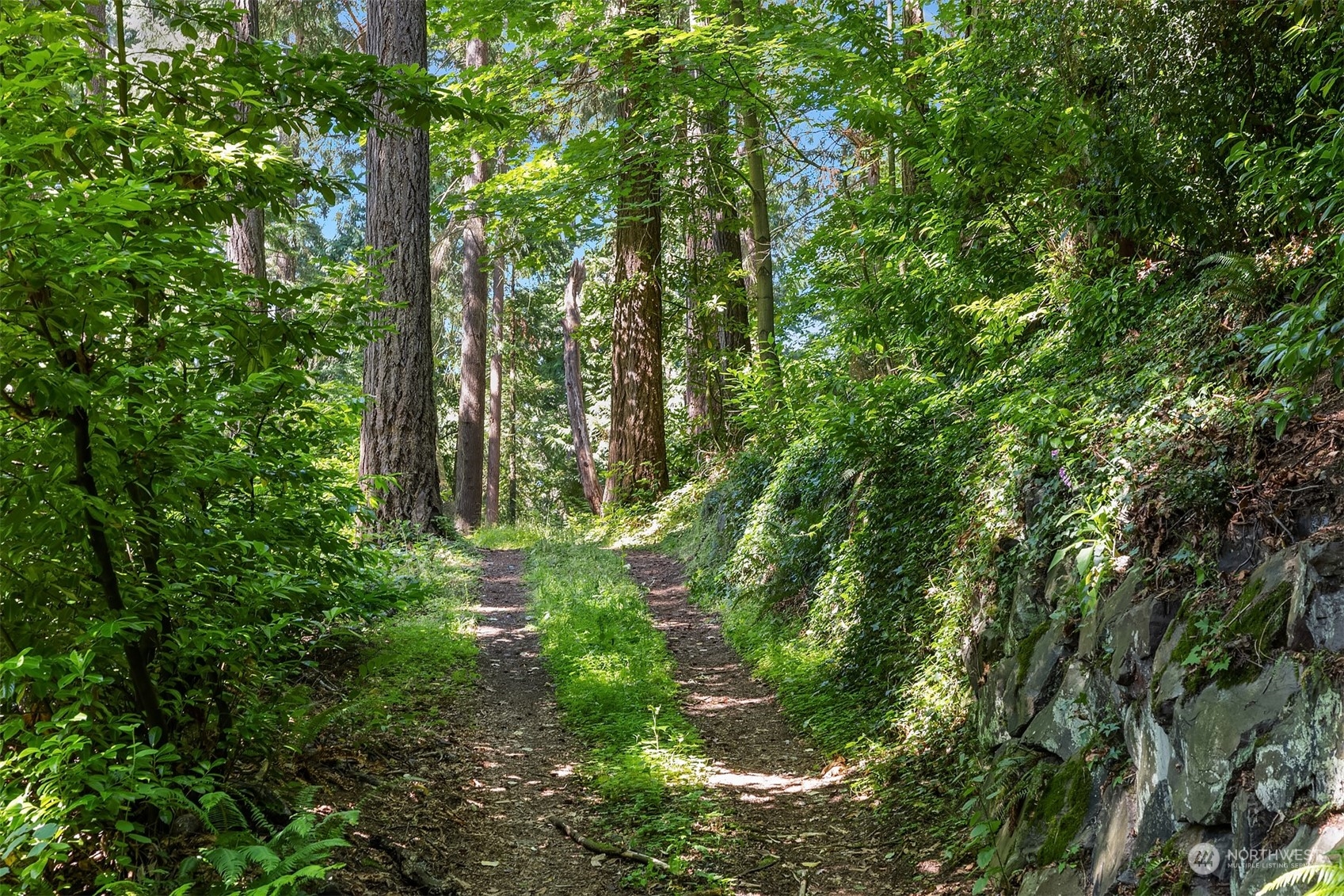 62 Madrona Lane Shoreline, WA 98177 - Photo 16 of 22 a backyard of a house with lots of green space