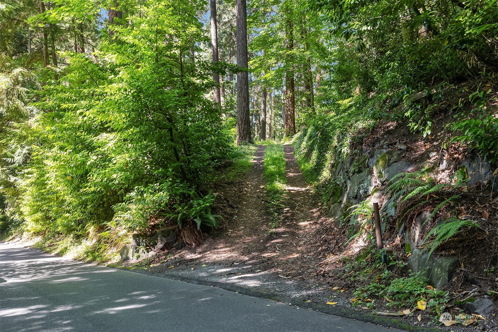 62 Madrona Lane Shoreline, WA 98177 - Photo 17 of 22 a view of a street with a tree