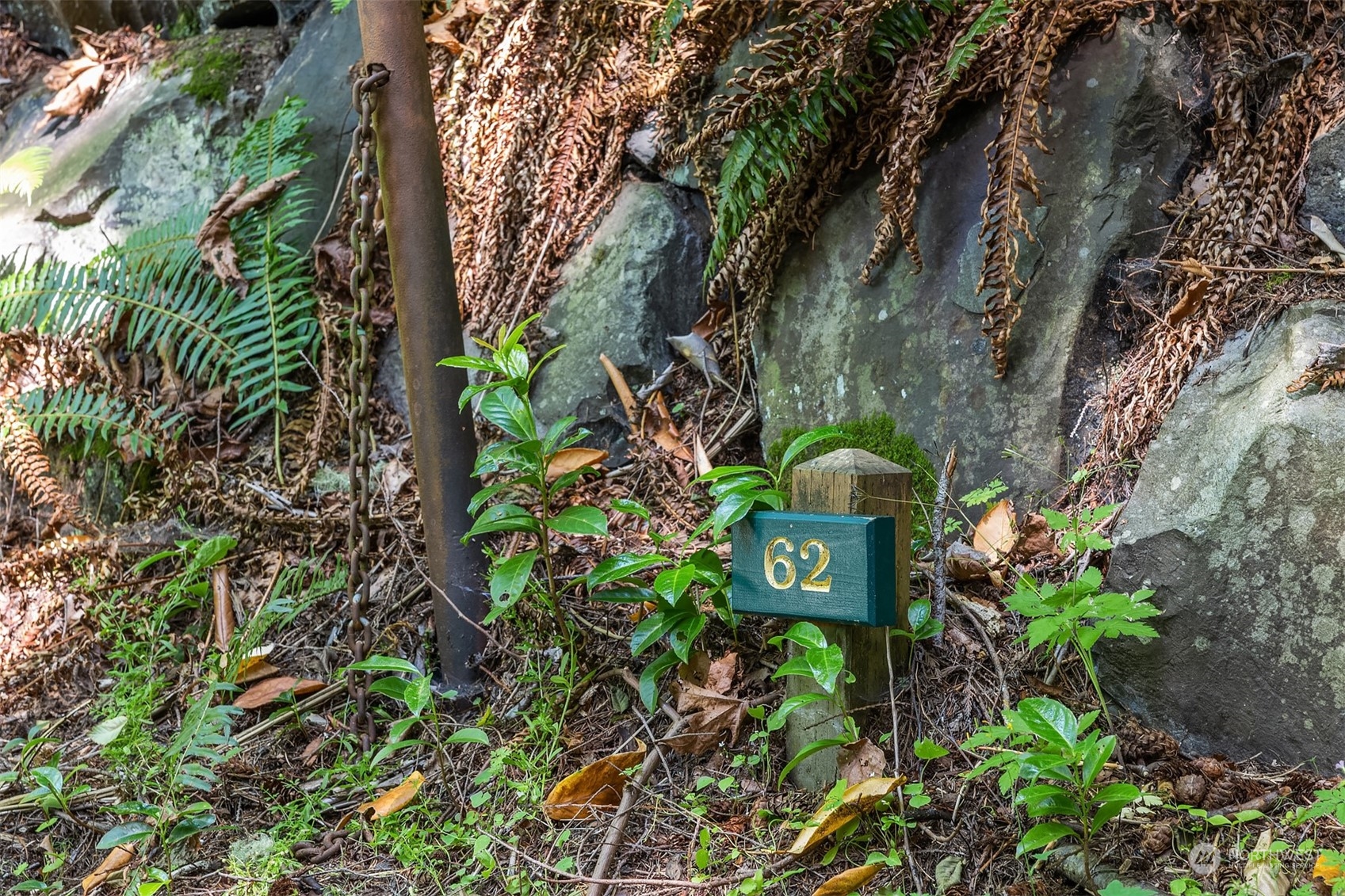 62 Madrona Lane Shoreline, WA 98177 - Photo 18 of 22 a picture of plants