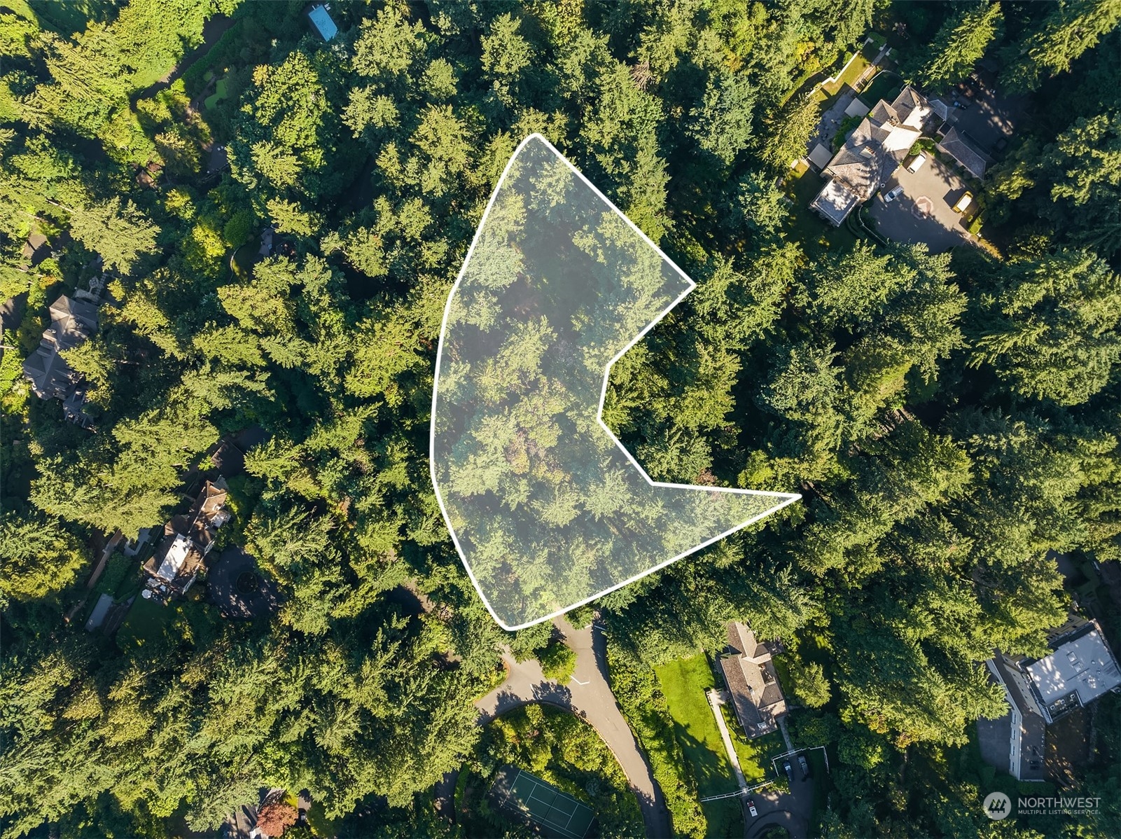 62 Madrona Lane Shoreline, WA 98177 - Photo 3 of 22 an aerial view of a residential houses with outdoor space and trees